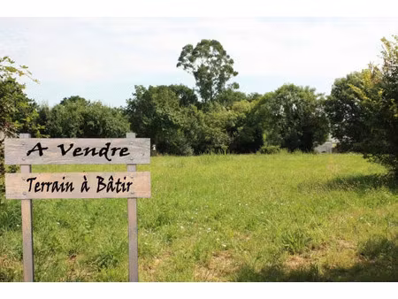 vente terrain 2748 m² à brienon-sur-armançon (89210)  59 500 €