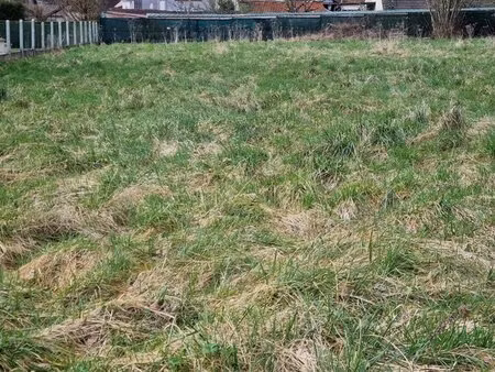 saint-augustin - grand terrain à bâtir 801 m² - façade 14 80 m - viabilités sur rue