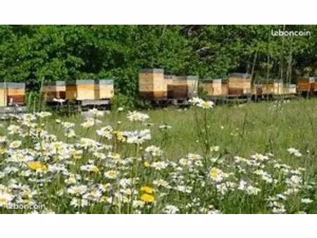 location terrain ruchers