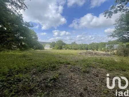 vente terrain à montrozier (12630) : à vendre / 5767m² montrozier