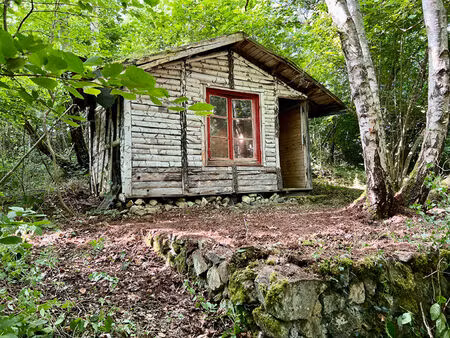 vente maison 1 pièce  12.83m²  aydat