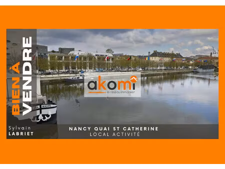 immobilier professionnel à vendre nancy