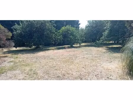 à 5 minutes de cinq mars la pile  terrain a batir de 763 m2  avec la possibilité d'acquéri