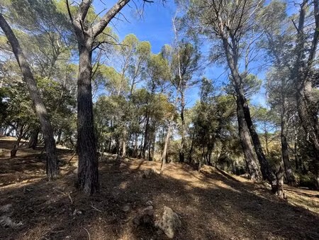 4 terrains constructibles lorgues