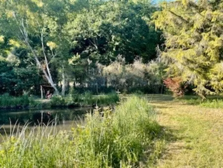 vente terrain 3810 m² à torsac (16410)  45 000 €