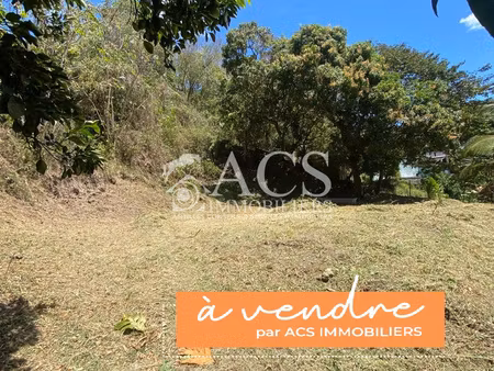 ensemble deux terrains les trois-ilets