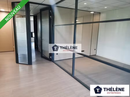 achat local professionnel 131m² montpellier 34080