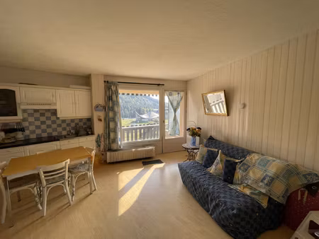 achat appartement 1 pièce 35m² super lioran 15300