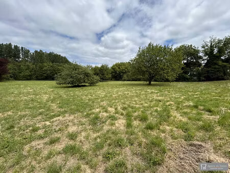 vente terrain 5501m2 pons 17800 - 53500 € - surface privée