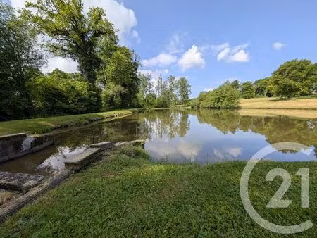 terrain à vendre - 14490 m2 - st denis de jouhet - 36 - centre