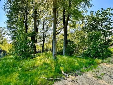 beau terrain pour villa dans le kluisbos