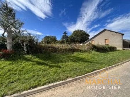 terrain constructible entre rémilly et delme  6 ares hors lotis