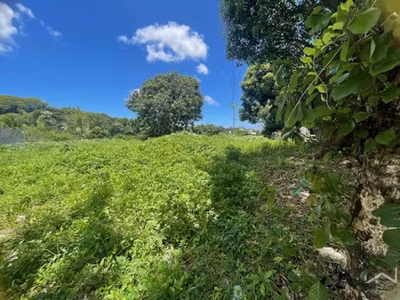 vente terrain 989 m² à bras panon (97412)  318 000 €