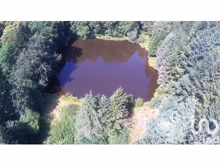 vente terrain 30452 m² à nieul (87510)  69 000 €