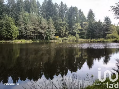 vente terrain 30452 m² à nieul (87510)  88 000 €