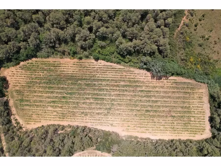 vente locaux professionnels 15338 m² à creissan (34370)  30 000 €