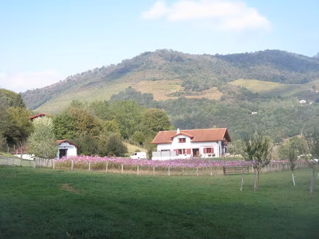 maison/villa de standing à st jean pied de port