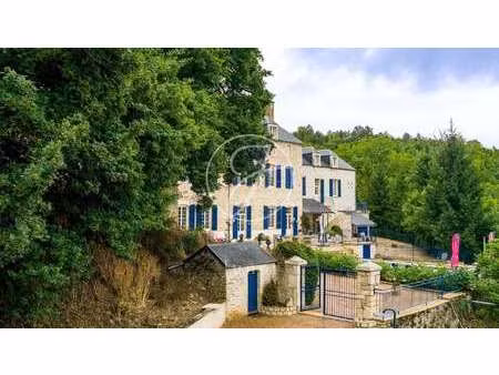 propriété de luxe à vendre à l'isle-sur-serein : 1 450 000 € | 2000m²