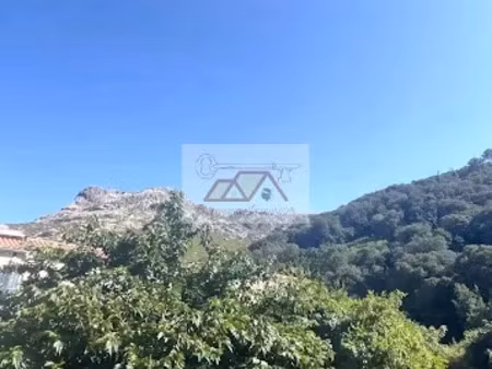 vente propriété 5 pièces 65 m² à calenzana (20214)  216 000 €