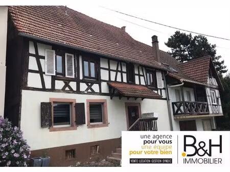 achat immeuble 277m² niederbronn les bains 67110