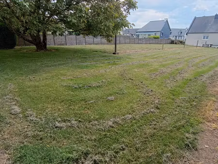 vente terrain 1133 m² plaintel (22940)