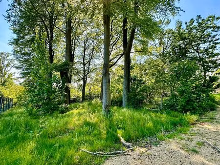terrain à vendre à chemin du renard orroir (rbt64769)