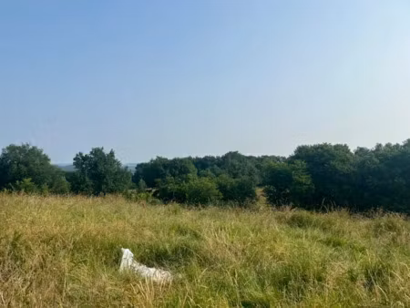 vente terrain 4080 m² à ussac (19270)  56 000 €