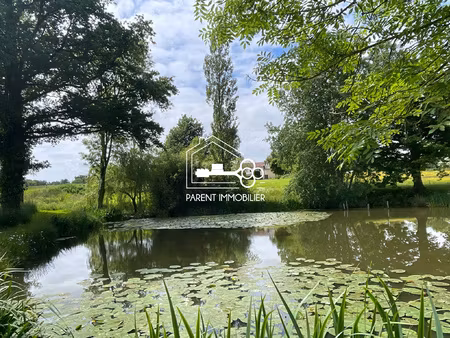 ensemble immobilier à saint-agnant-de-versillat avec étang e