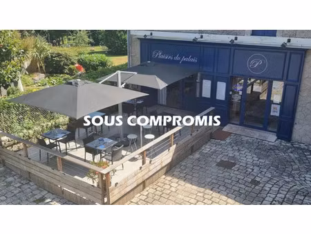 vente locaux professionnels 330 m² à terrasson-lavilledieu (24120)  84 000 €
