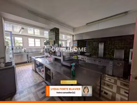 vente immeuble 15 pièces 450 m² à châteauneuf-la-forêt (87130)  209 000 €