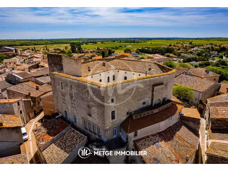 vente château 20 pièces 1300 m² à puimisson (34480)  636 000 €