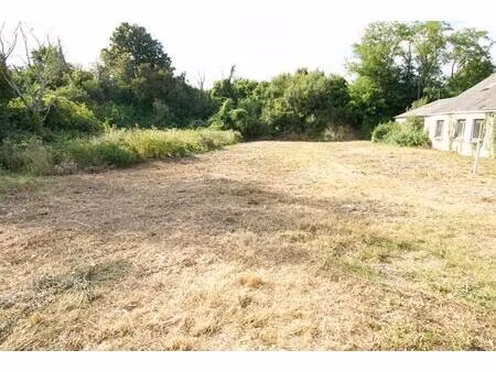 terrain à massay 1013 m2