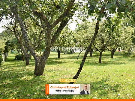 opportunité: joli terrain de 1 176 00 m² avec son verger et au calme à alleriot (71)
