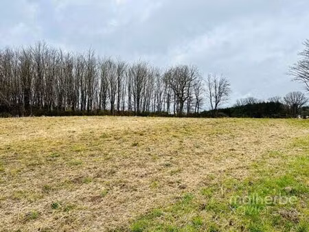 terrain à bâtir (lot 8)