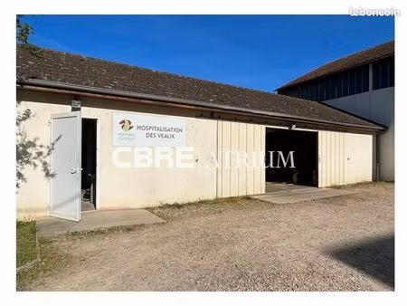 local d'activite 154 m² le donjon