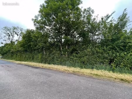 terrain 2348 m² villeneuve sur allier