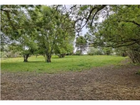 terrain 1 000 m² mauvaisin