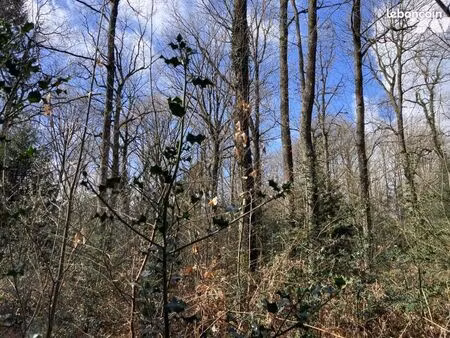 terrain 23600 m² la chapelle yvon