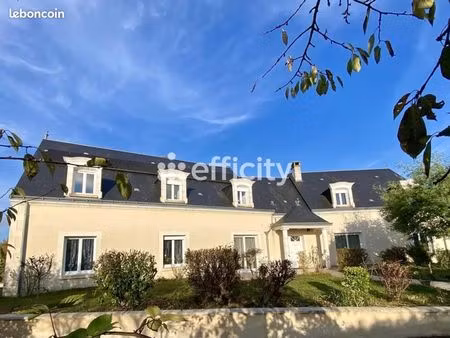 immeuble 15 pièces 356 m²