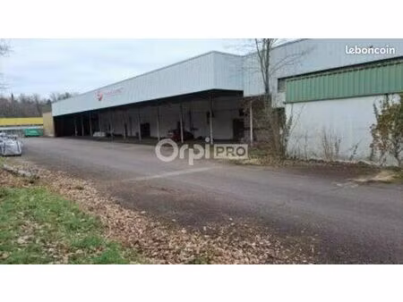 local d'activité 250 m²