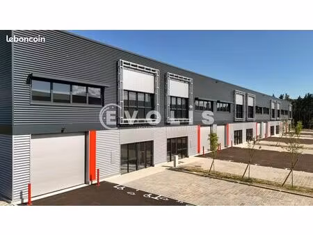 local d'activité 305 m²