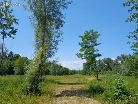 terrain à bâtir de 1700 m2 dont 989 m2 constructibles à 15 mn de belfort  libre constructe