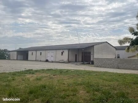 immeuble 670 m² tonneins