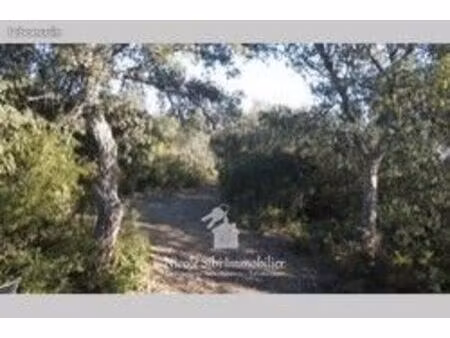 terrain 81 150 m² montauriol