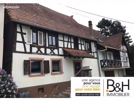 immeuble 277 m² niederbronn-les-bains