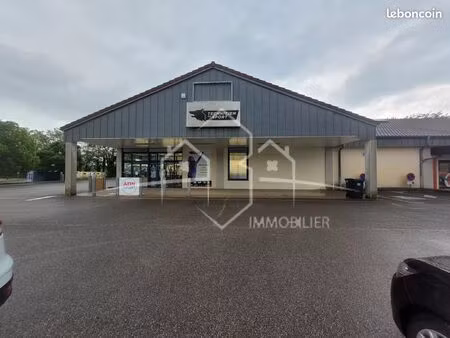 local commercial 350 m² beaurepaire