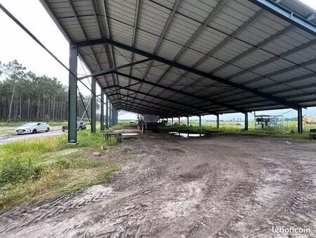 hangar 1725 m² a louer