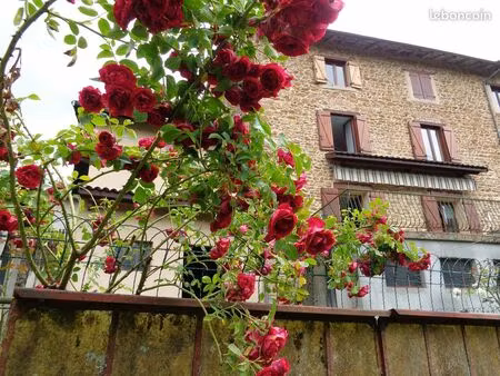maison de village 7 pièces 126 m²