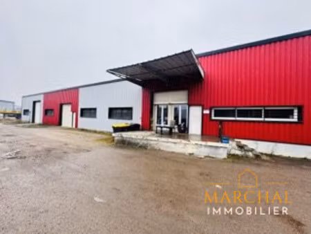 en vente entrepôt 4 000 m² – 999 000 € |ars-sur-moselle