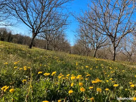 terrain constructible